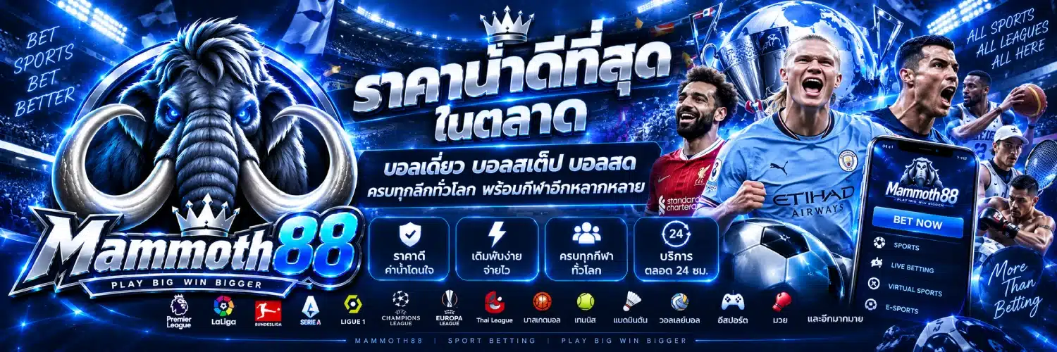 Mammoth88 ราคาน่าดีที่สุดในตลาด บอลเดี่ยว
